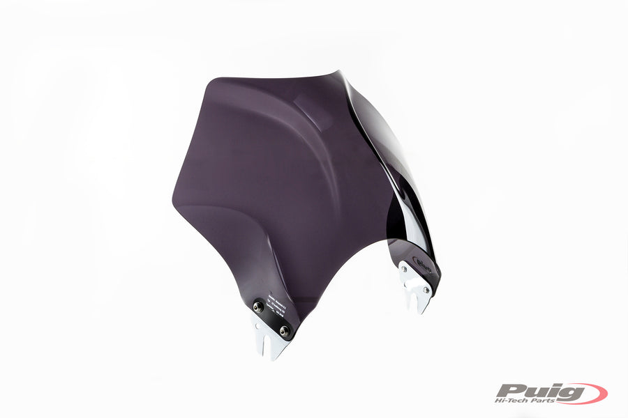 KAWASAKI W 230 [2025] – Raptor Windschild Visier – Schwarz