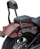harley-davidson street bob [COBRA] – Abnehmbares Rückenlehnen-Kit-1