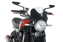 KAWASAKI Z 900 RS SE [2025] – Vision voorruitvizier – getint-17