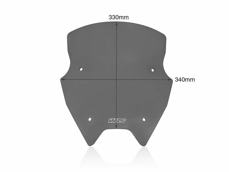 BMW R 1200 R [WRS] – windshield detailed view