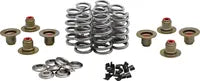 Harley-Davidson FLRT 1868 Freewheeler 114 [2021, 2023-2024] - Titanium klepveerhouderset - foto 9