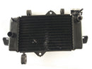 Yamaha YZF 125 RE06 [2011] - Koel waterkoeler-3