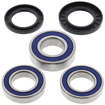 Suzuki Gsx-R 1300 Hayabusa [ALLE BALLEN] - Achterwiellagerset voor RVF750R, GSXR1300HAYABUSA, TL1000 S, R
