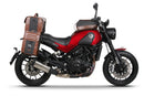 Benelli Leoncino 500 Leoncino500 [SHAD] - Seitentaschen Halter-3