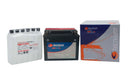 Thunderbird 1600 [TECNIUM] - Maintenance-free battery with acid pack - BTX20L-BS