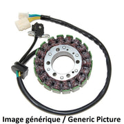 Suzuki Sv 1000 [ELECTROSPORT] - Stator - Suzuki SV1000