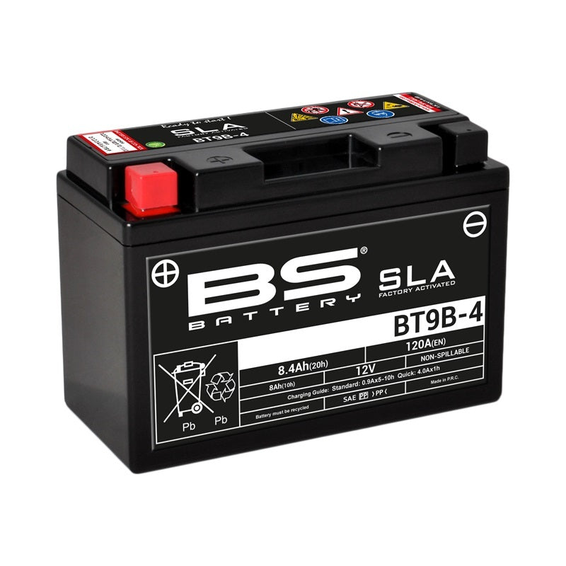 Yamaha TT 600 Re [BS Battery] - motorcycle battery