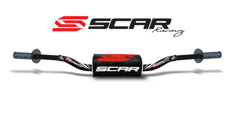 Yamaha TT 600 R [Scar] - motorcycle driver