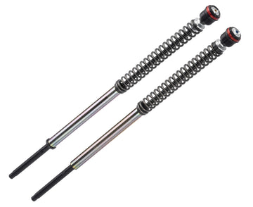 Suzuki GSX 800 S [BITUBO] - JBH 01 cartridgeset