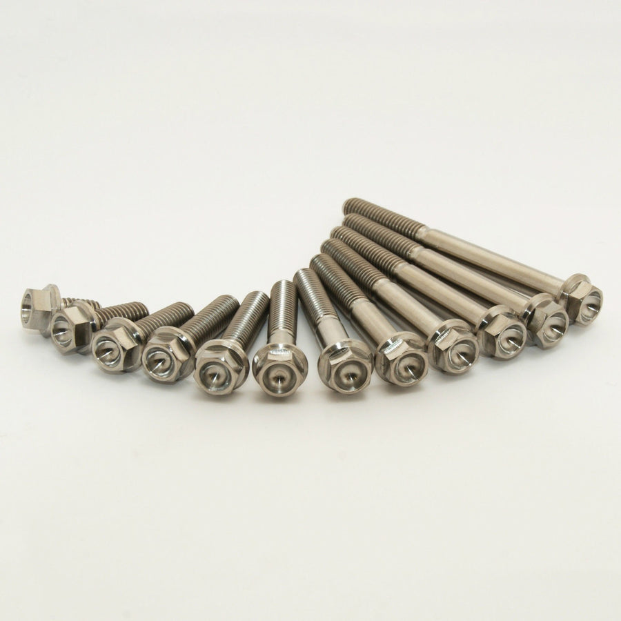 GAS GAS MC 250 F [2021-2022] - Motorschroevenset Titanium 41 Schroeven