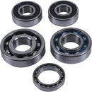 Kawasaki Kx 250 [HOT RODS] - Gearbox Mount Kit - Kawasaki KX 250 F