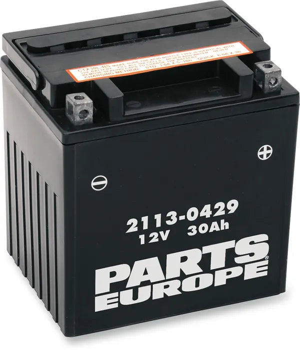 California 1100 [PARTS EUROPE] – Parts Europe Batterie