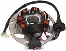 Yamaha DT 125 [Naraku] -alternator Stator voor Minarelli horizontaal en verticaal-1