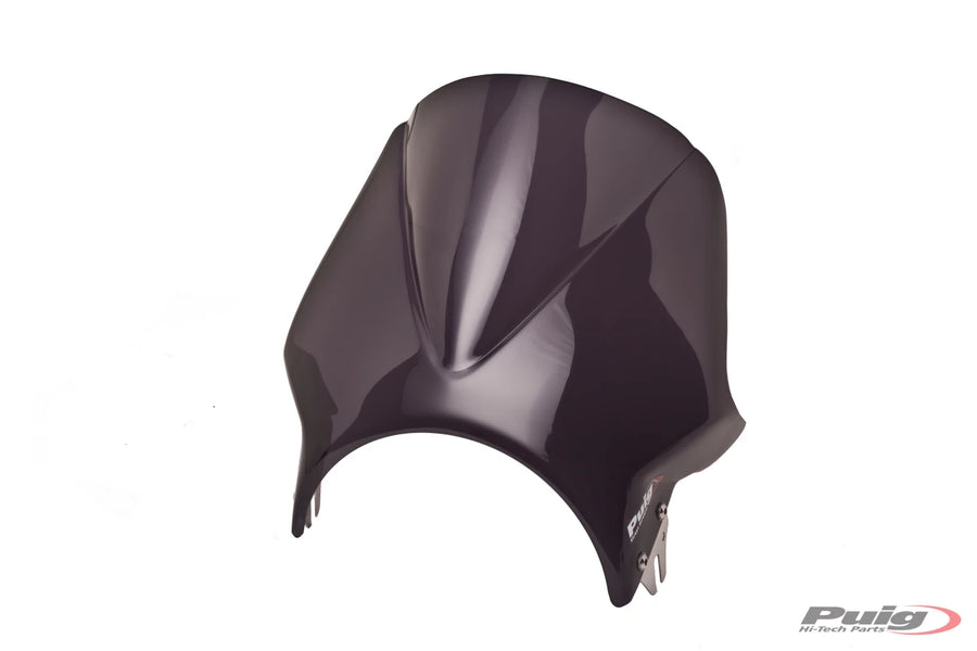 KAWASAKI W 230 [2025] – Windy windshield fairing – heavily tinted
