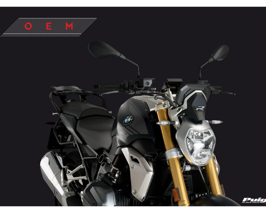 BMW R 1250 R [2018] – New Generation Sport – Getönt