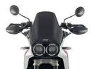 Ducati Desertx [WRS] - Windschild-4