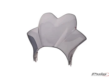 KAWASAKI W 230 [2025] – Raptor Windschild Visier – Schwarz