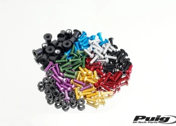 KAWASAKI NINJA 125 [2024] – Z-Racing Screen – Tinted
