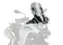 APRILIA RS4 125 REPLICA [2016] – Z-Racing scherm – Getint-1