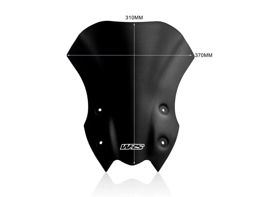 Kawasaki Z 900 [WRS] – Windschild