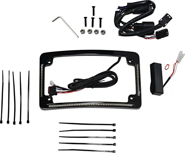 Harley Davidson Flhx [CUSTOM DYNAMICS] – LED Radius Kennzeichenrahmen