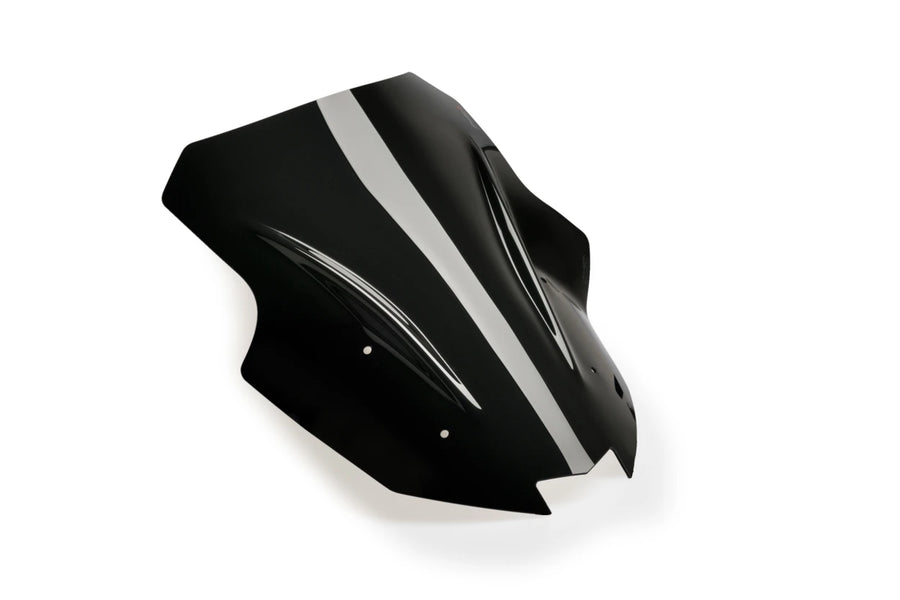KAWASAKI NINJA 1100 SX SE [2025] – racing screen – black