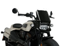 HARLEY DAVIDSON SPORTSTER S RH 1250 S [2024] – Fury – Getönt-32