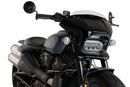 HARLEY DAVIDSON SPORTSTER S RH 1250 S [2024] – Fury – Heavily tinted-31