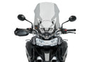 TRIUMPH TIGER 1200 RALLY PRO [2025] – toerscherm – getint-1