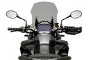 TRIUMPH TIGER 1200 RALLY PRO [2025] – toerscherm – getint-6