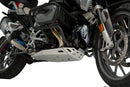 BMW R 1250 GS [2024] – Motor Schutz – Silber-3
