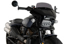 HARLEY DAVIDSON SPORTSTER S RH 1250 S [2024] – Fury – Heavily tinted-34
