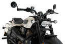 HARLEY DAVIDSON SPORTSTER S RH 1250 S [2024] – Fury – Heavily tinted-26