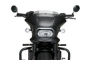 HARLEY DAVIDSON SPORTSTER S RH 1250 S [2024] – Fury – Heavily tinted-36