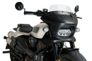 HARLEY DAVIDSON SPORTSTER S RH 1250 S [2024] – Fury – Heavily tinted-49