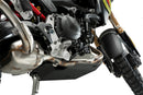 BMW F 900 GS [2025] – Motor Schutz – Silber-5