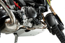 BMW F 900 GS [2025] – Motor Schutz – Silber-38