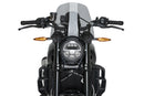 INDIAN FTR 1200 SPORT [2025] – Nieuwe generatie sport – Getint-3