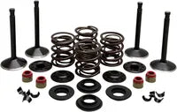 Harley Davidson FL Shovel [KIBBLEWHITE] – Motorventil-Kit