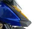 BMW R 1300 GS [WRS] - headlight protection-7