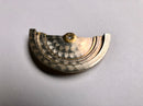 ROLEX cal. 740 765 - 5955 Rotor-2