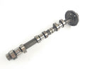 Triumph Thunderbird 900 T309RT [1995] - Camshaft Intake Camshaft-2