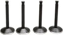 Harley Davidson FX Shovel [KIBBLEWHITE] – Black Diamond™ Motorventilsatz