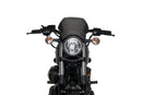 YAMAHA XV 950 R [2020] – ALU Frontplatte – Silber-7