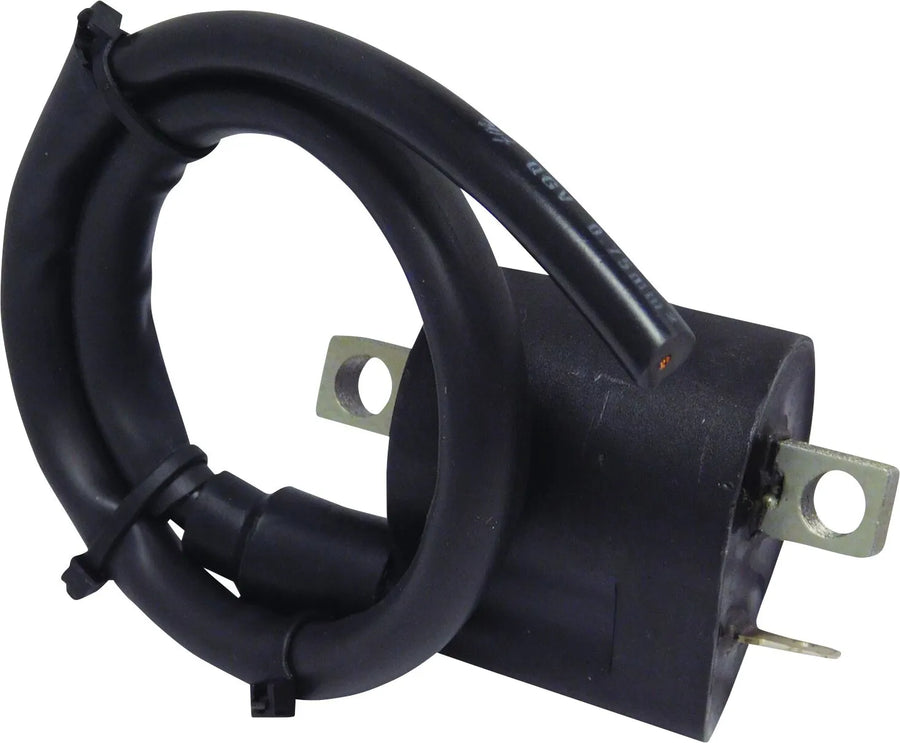 Kawasaki Vulcan S [Parts Europe] - ignition coil