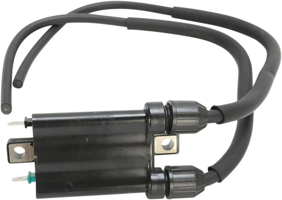 Honda CB 750 Hornet [Emgo] -vervanging ontstekingsspoel in OEM-stijl