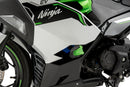 KAWASAKI NINJA E-1 [2025] – Valblokken R19 – Zwart-1
