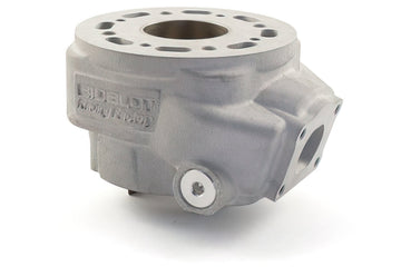 Fantic XM 50 2T - Cilinderkit Racing RF50WR