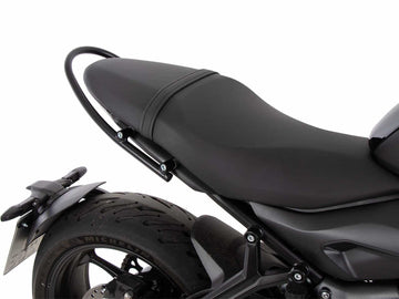 Triumph Trident 660 [2021-2024] - Soziushaltegriff - 0