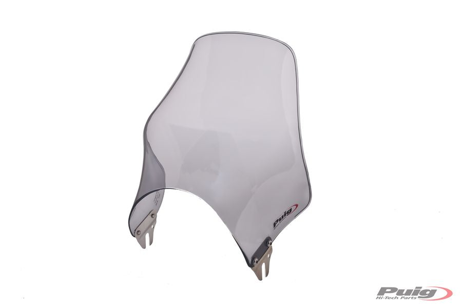 YAMAHA YBR 125 [2016] – Naked Verkleidungsscheibe Windschild – Schwarz